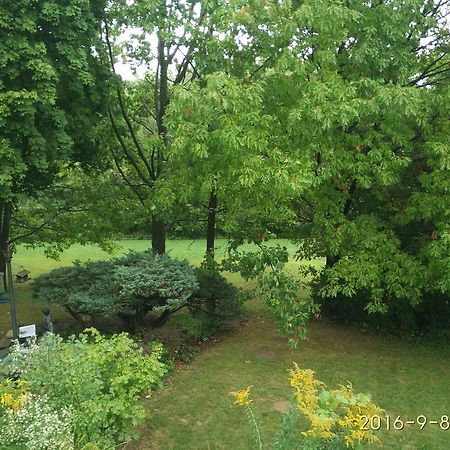 多伦多邓肯公园民宿 Toronto Duncan Park Guesthouse Eksteriør bilde