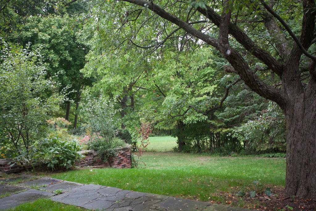 多伦多邓肯公园民宿 Toronto Duncan Park Guesthouse Eksteriør bilde