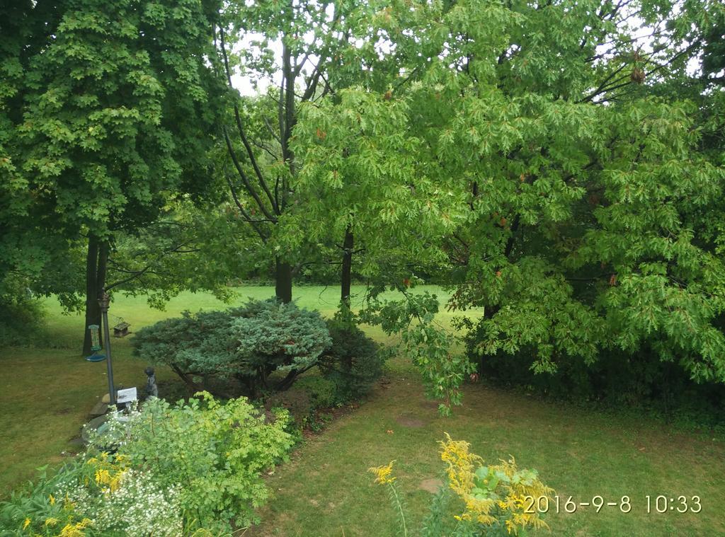 多伦多邓肯公园民宿 Toronto Duncan Park Guesthouse Eksteriør bilde